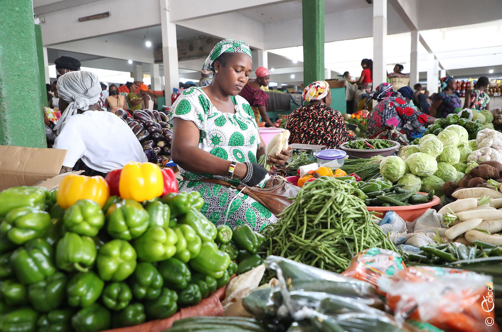 S Curit Alimentaire En C Te D Ivoire Le Gouvernement Poursuit Ses Efforts