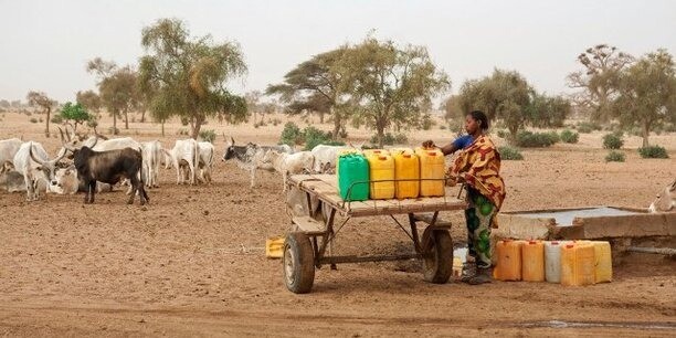 Sénégal eau