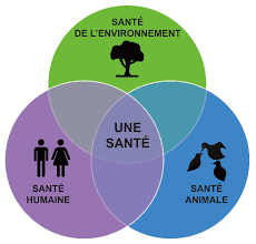 Santé animale