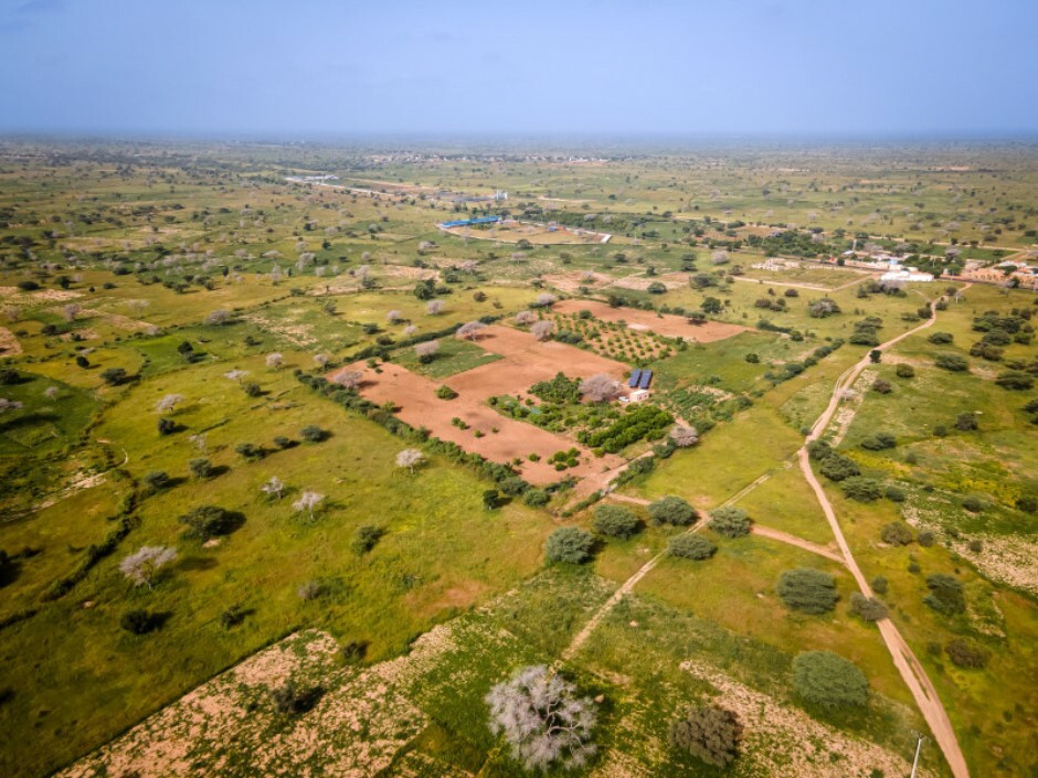 Agropole Senegal