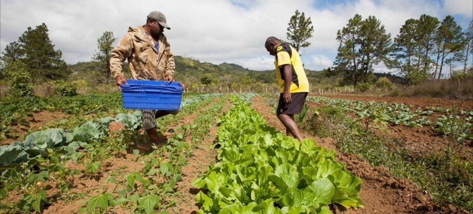 exploitants agricoles1